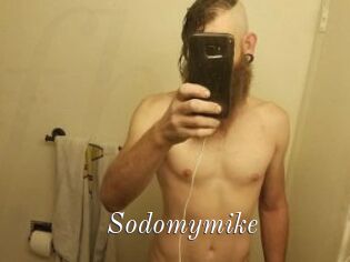 Sodomymike