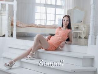 Songull