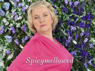 Spicymellowed