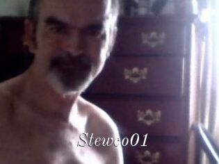 Stewco01