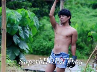 SuperbHORNYboy