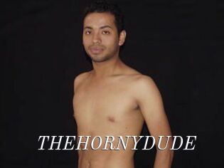 THEHORNYDUDE