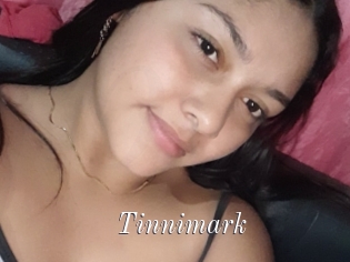 Tinnimark