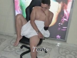 Torito