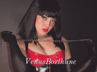 VenusBorthune