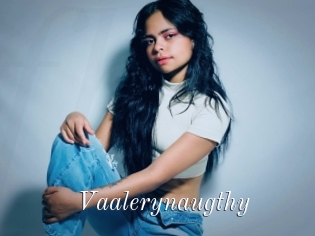 Vaalerynaugthy