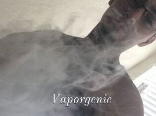 Vapor_genie