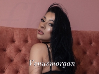 Venusmorgan