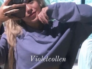 Violetcollen