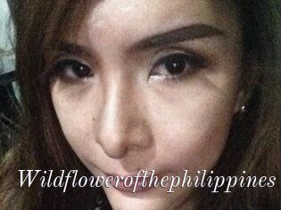 Wildflowerofthephilippines