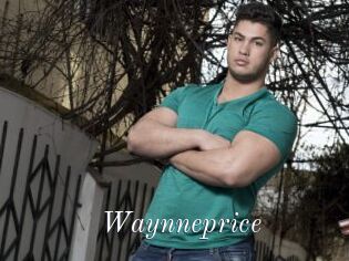 Waynneprice