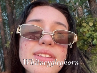 Whitneygleghorn