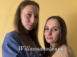 Willaandantonia