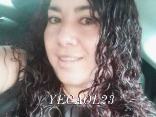 YECAOL23