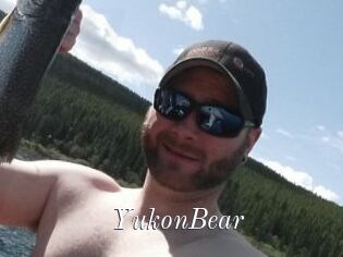 YukonBear