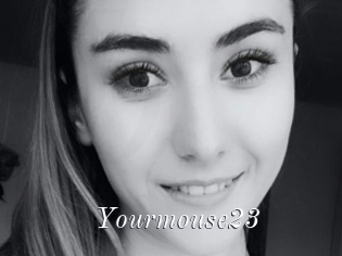 Yourmouse23