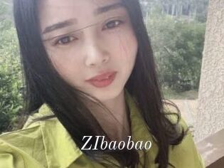 ZIbaobao